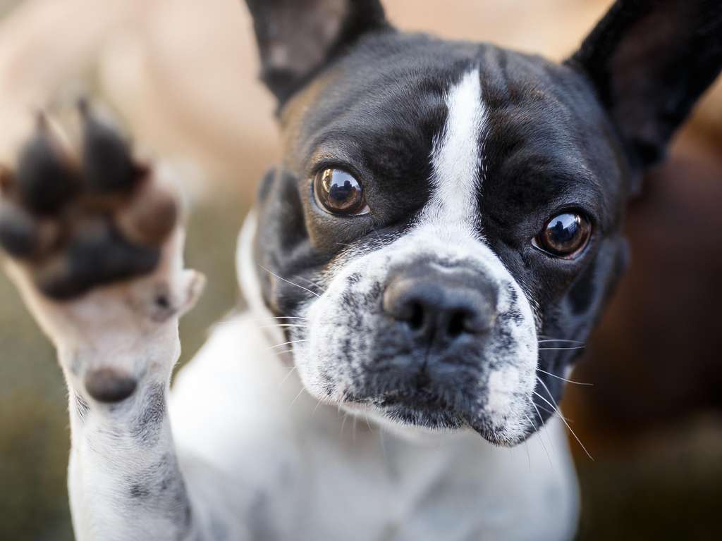 Do you belong to the lucky ones of the week? | Photo: © iStockphoto.com/Capuski Do you belong to the lucky ones of the week? | Photo: © iStockphoto.com/Capuski