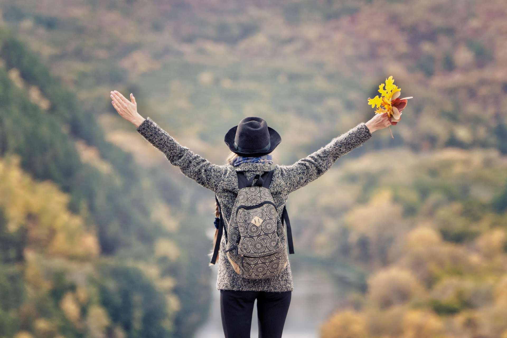 weekly horoscope leo 16 november 2019