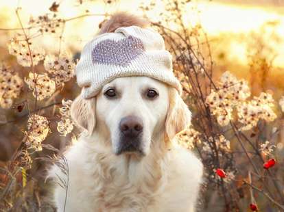 november 19 horoscope 2019