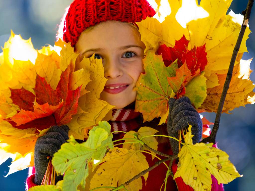 horoscope 3 november 2019