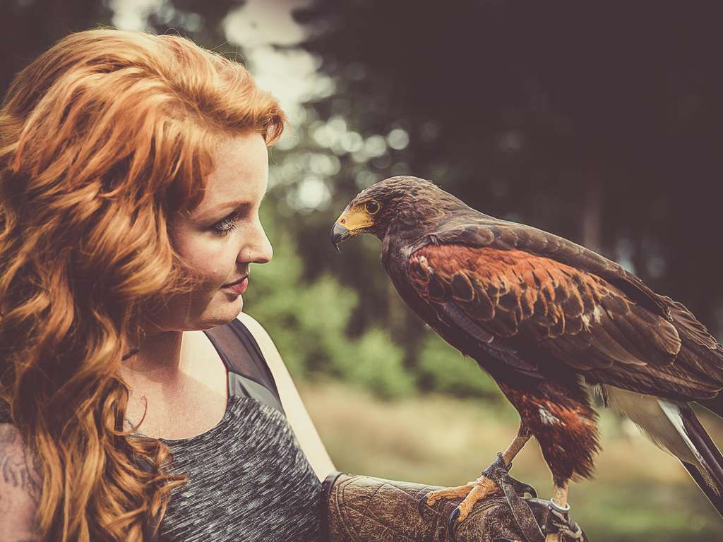 Daily Horoscopes October 2019 | Photo:© Phil Stev - stock.adobe.com Daily Horoscopes October 2019 | Photo:© Phil Stev - stock.adobe.com